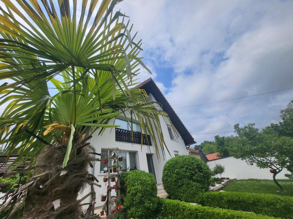 Vila Jovana Vrdnik Exteriör bild