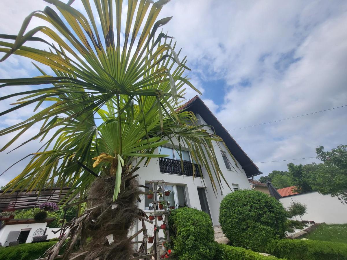 Vila Jovana Vrdnik Exteriör bild