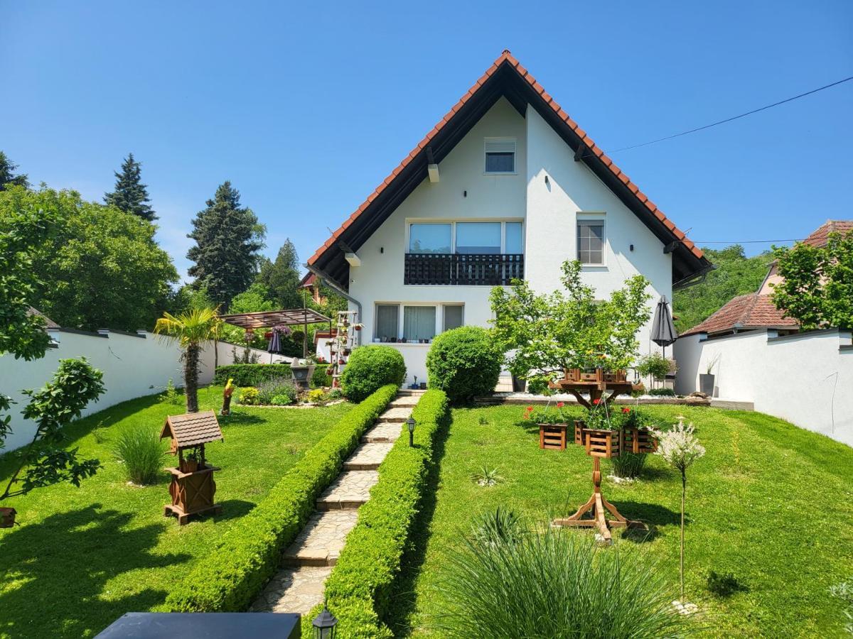 Vila Jovana Vrdnik Exteriör bild
