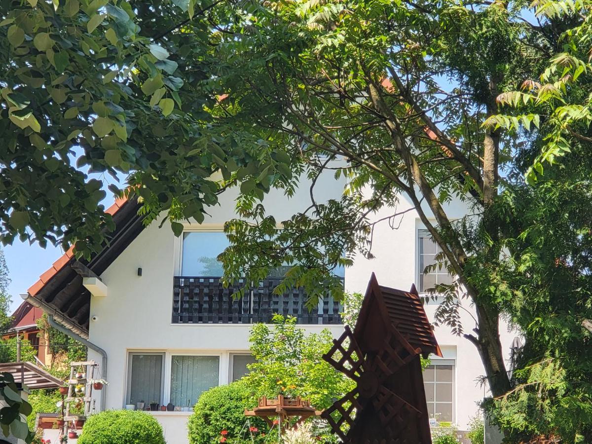 Vila Jovana Vrdnik Exteriör bild