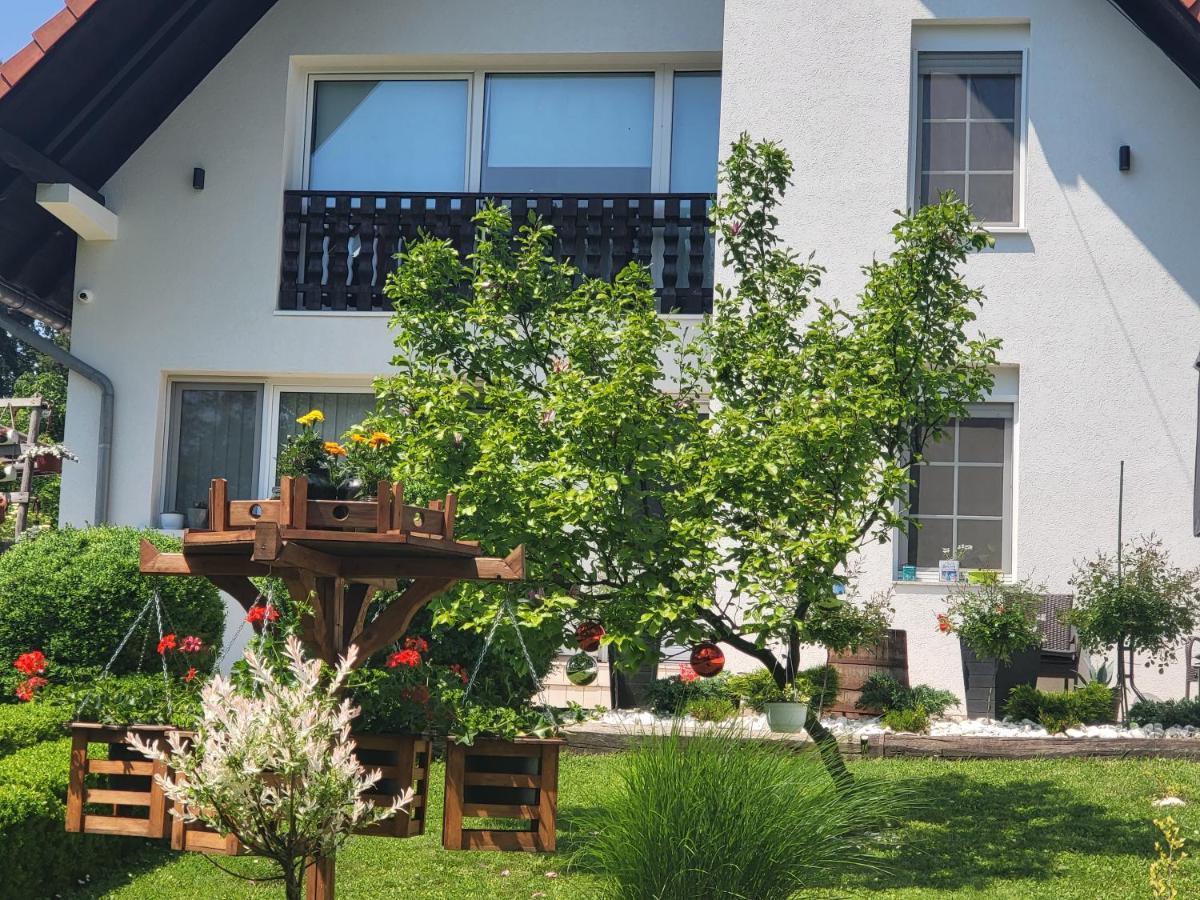 Vila Jovana Vrdnik Exteriör bild