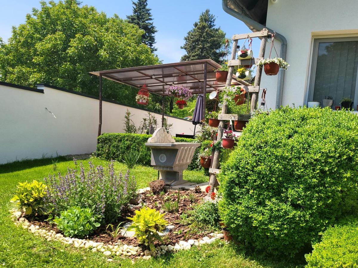 Vila Jovana Vrdnik Exteriör bild