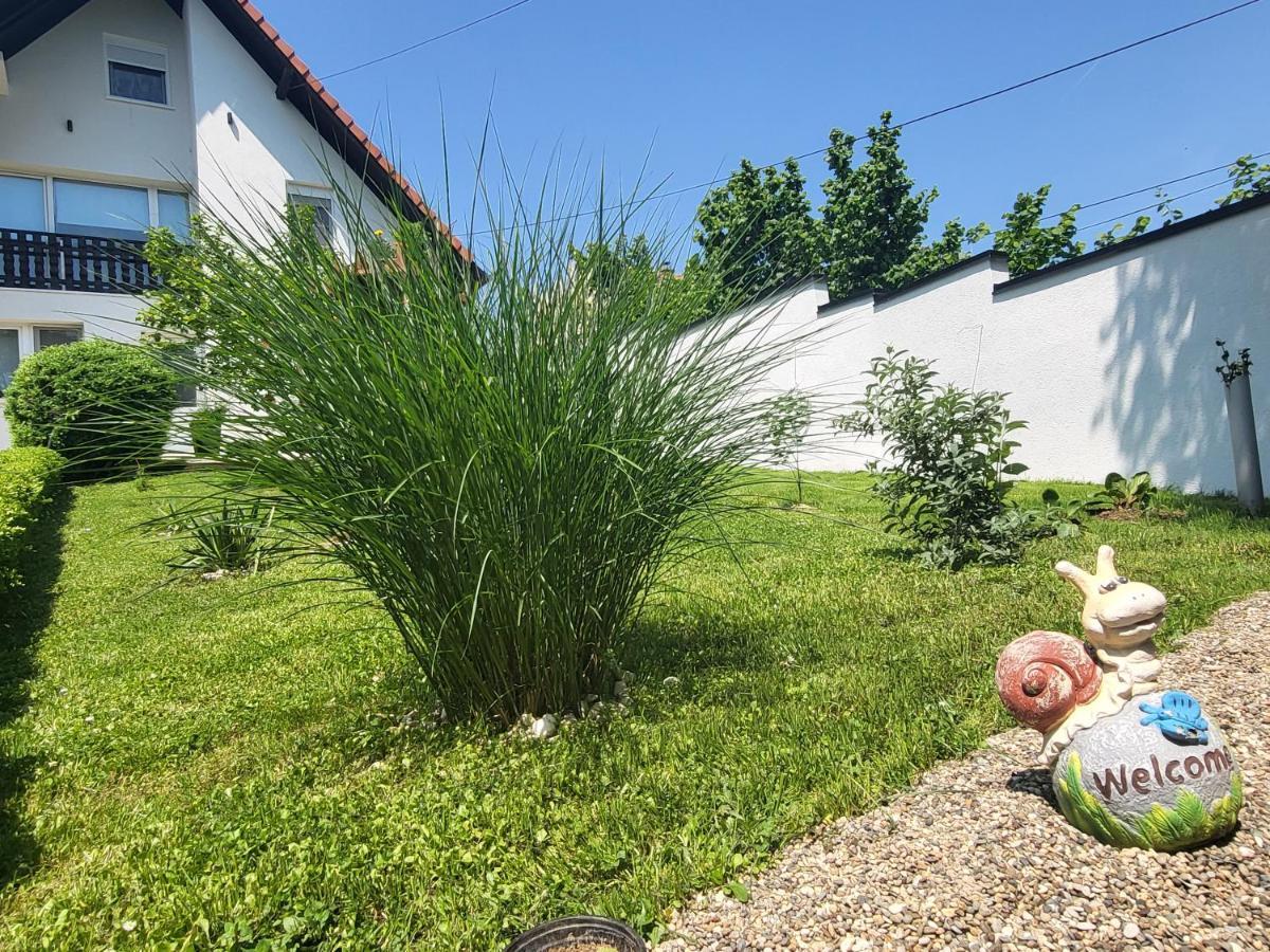 Vila Jovana Vrdnik Exteriör bild