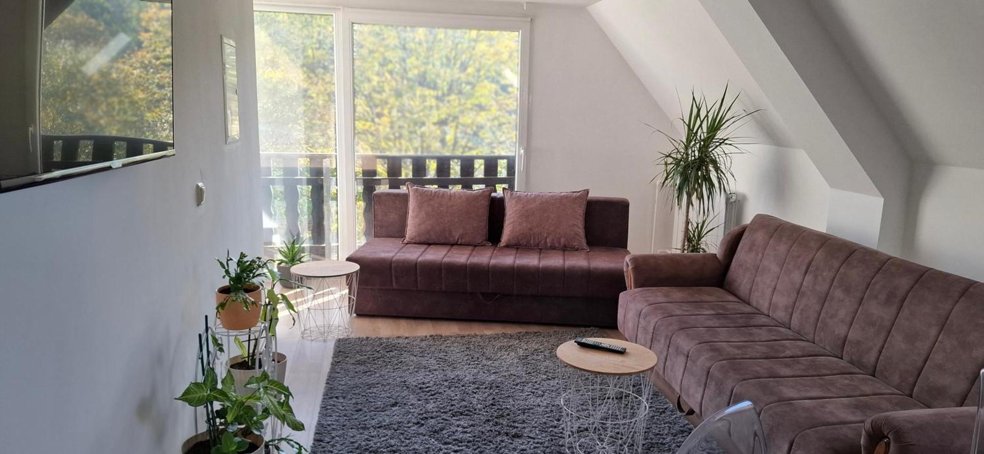 Vila Jovana Vrdnik Exteriör bild