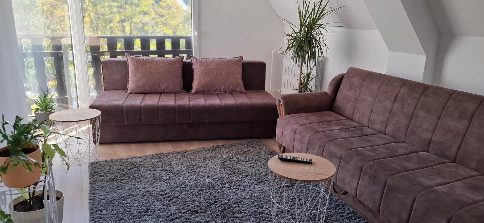 Vila Jovana Vrdnik Exteriör bild