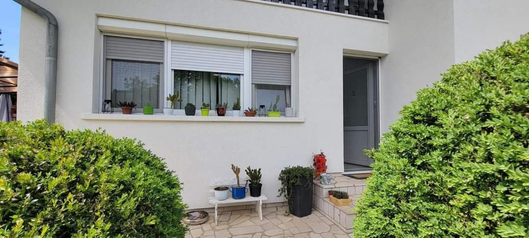 Vila Jovana Vrdnik Exteriör bild