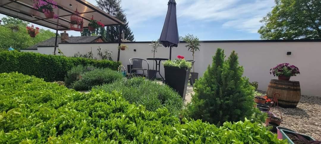 Vila Jovana Vrdnik Exteriör bild