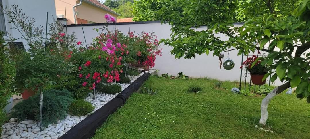 Vila Jovana Vrdnik Exteriör bild