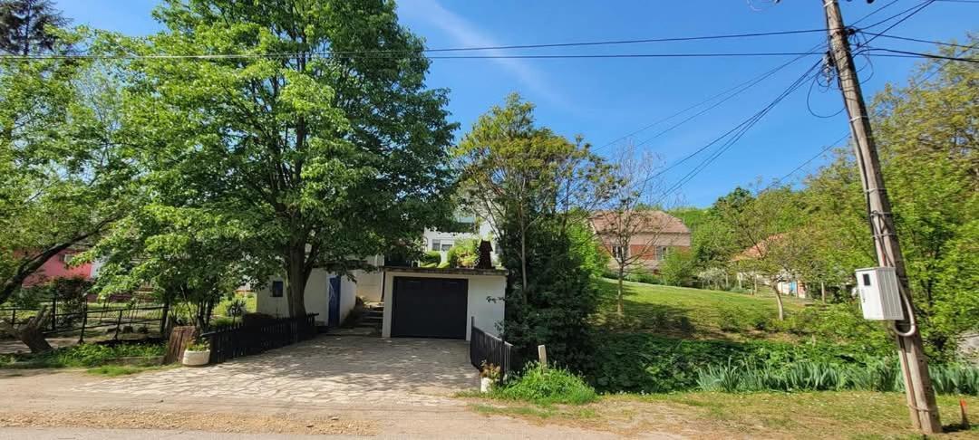 Vila Jovana Vrdnik Exteriör bild