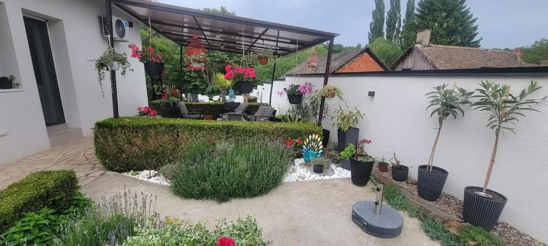 Vila Jovana Vrdnik Exteriör bild
