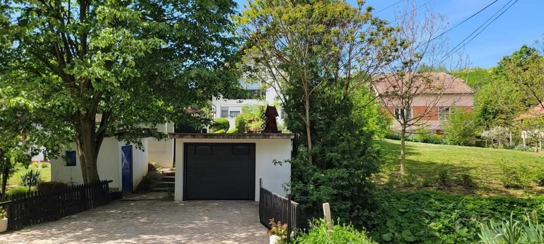 Vila Jovana Vrdnik Exteriör bild